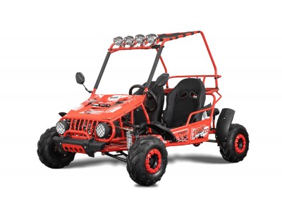2 seater petrol buggy 2025